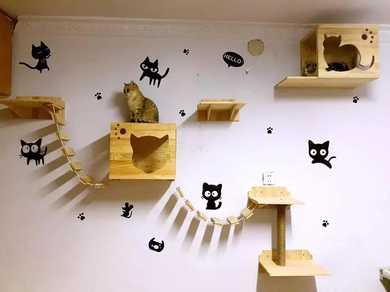 cat wall condo