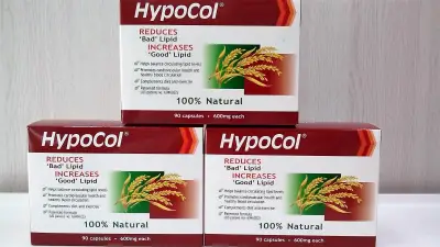 (Triple pack) Hypocol 600mg 90 capsule (90's x 3)