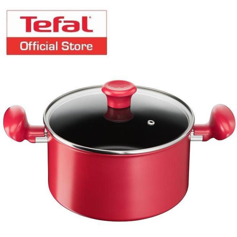 Tefal Pure Chef Plus Stewpot 22cm w/Lid C64279 Singapore