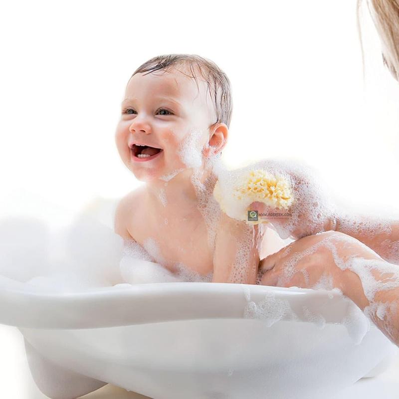 Buy Bellini Organic Bath Sea Sponge Singapore