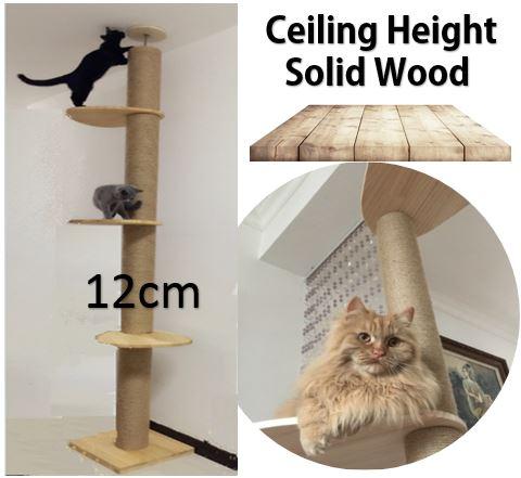 cat scratching post singapore