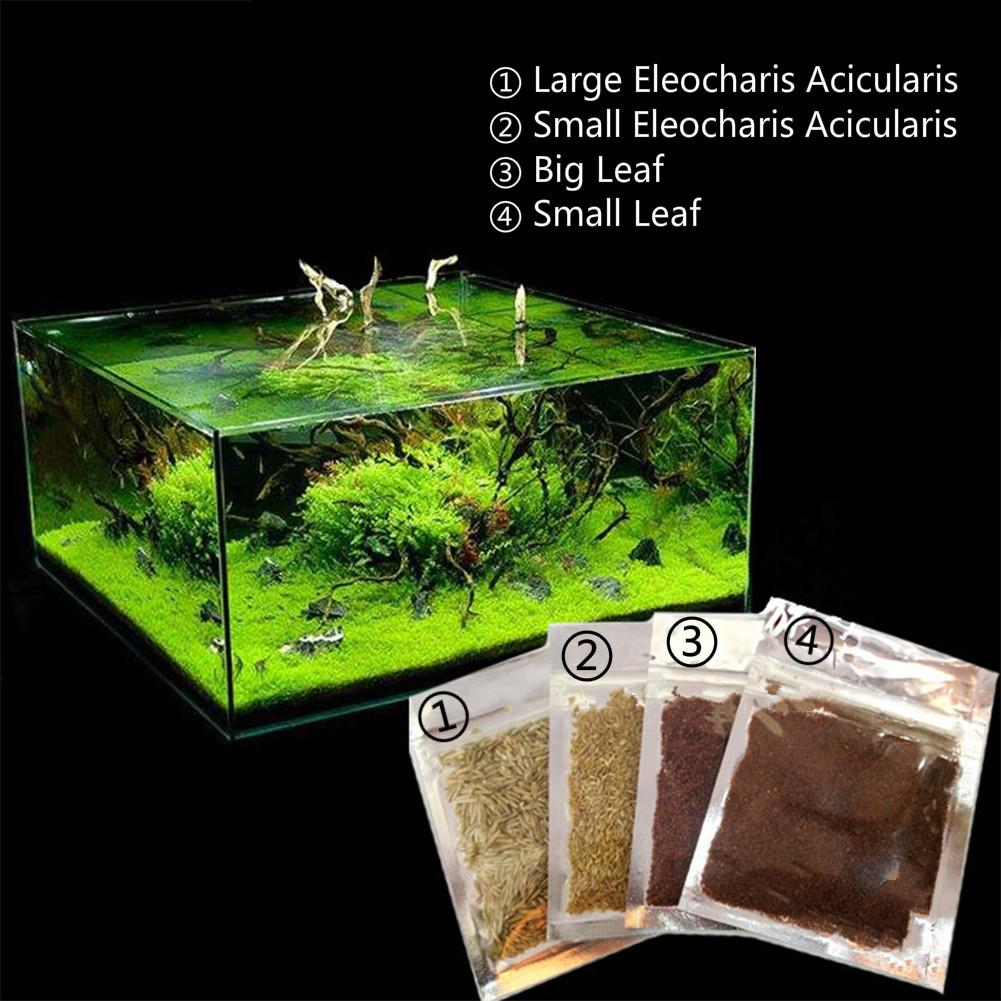 Aquarium Plant Seeds Aquatic Water Grass Decoration As Garden Fish