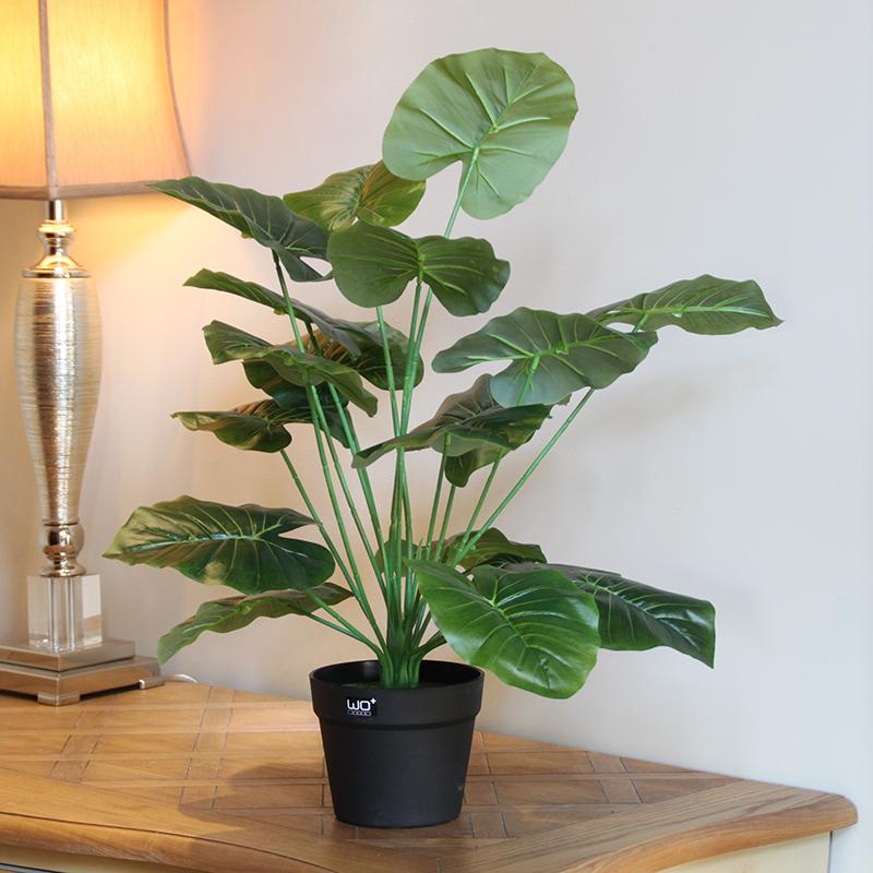 wo+ artificial Rich tree and money tree floor interior decoration ornaments