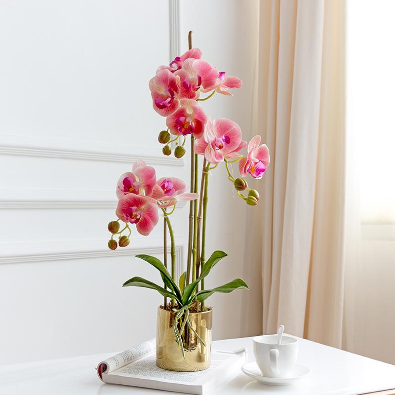 Handfeel Moisturizing Butterfly Orchid Imitation Flowers Set Vase Potted Plant Artificial Flowers Corsage Living Room Asian Creative Luxury Art Works Floral 3 Branch Flowers