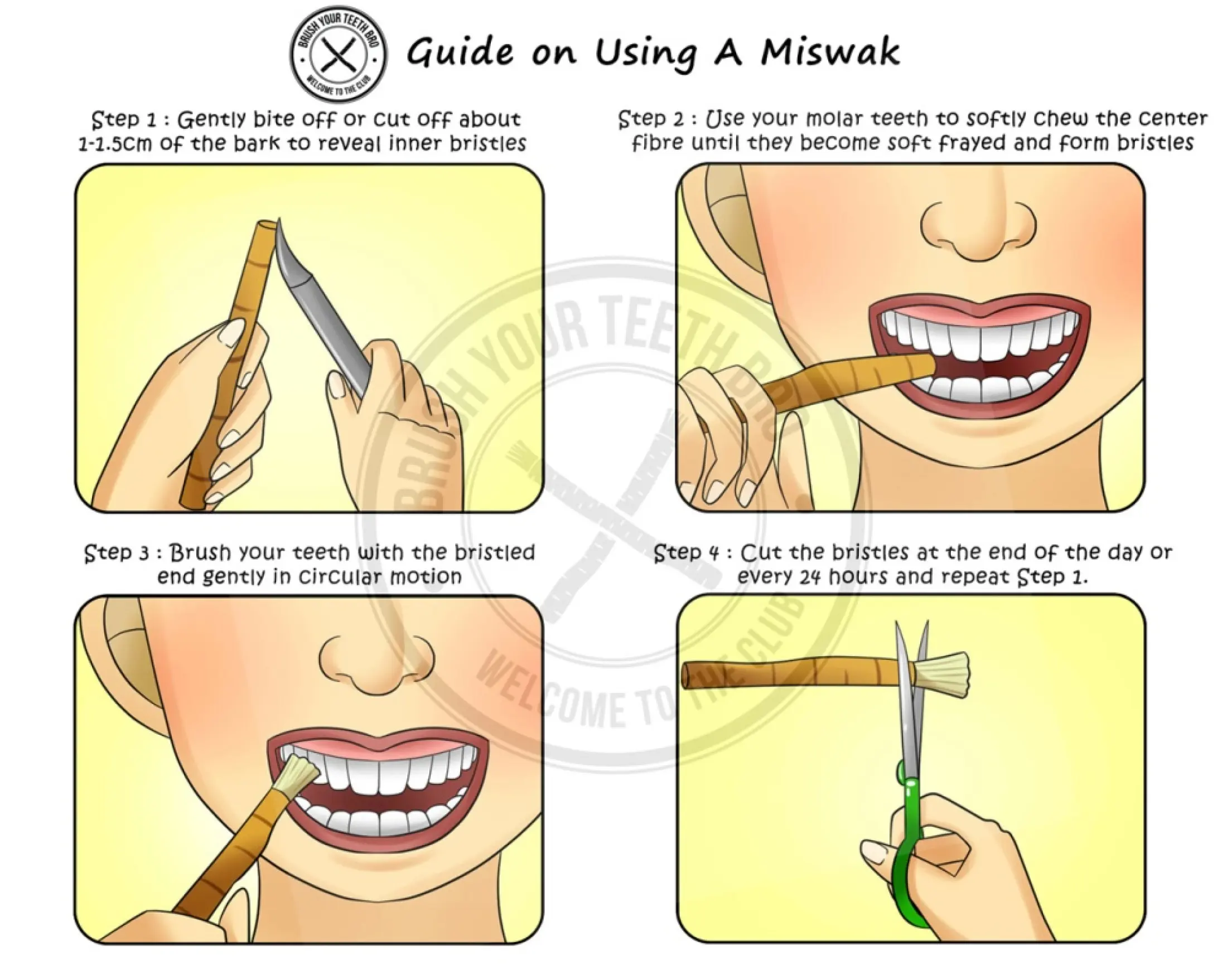 miswak use