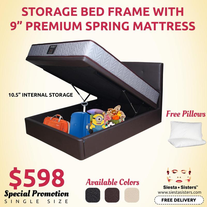 10.5 Internal Storage Bed Frame with 9 Premium Spring Mattress