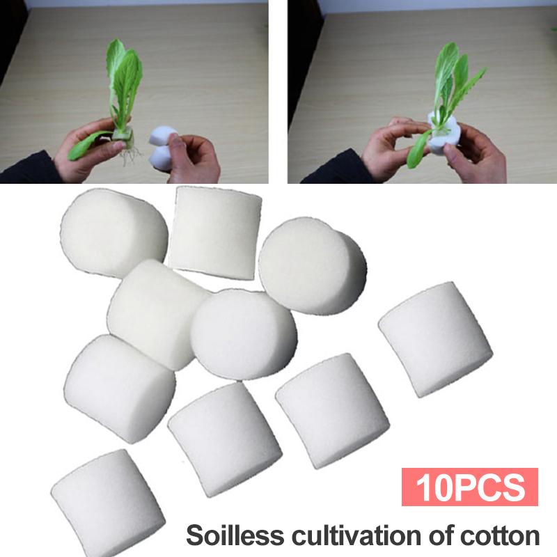 Tsujiu Store 10pcs Foam White Reusable Mini Insert Plant Soilless Hydroponic