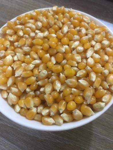 SÉT BẮP RANG BƠ TỰ LÀM TẠI NHÀ NGON NHƯ RẠP CHIẾU PHIM (1KG NGÔ VÀ 500GR BƠ)