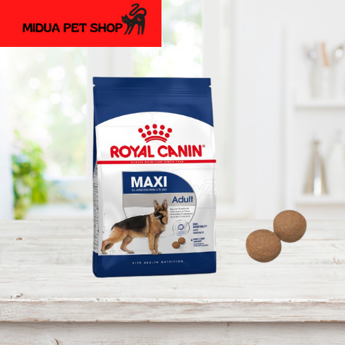 Thức ăn cho chó trưởng thành royal canin maxi adult