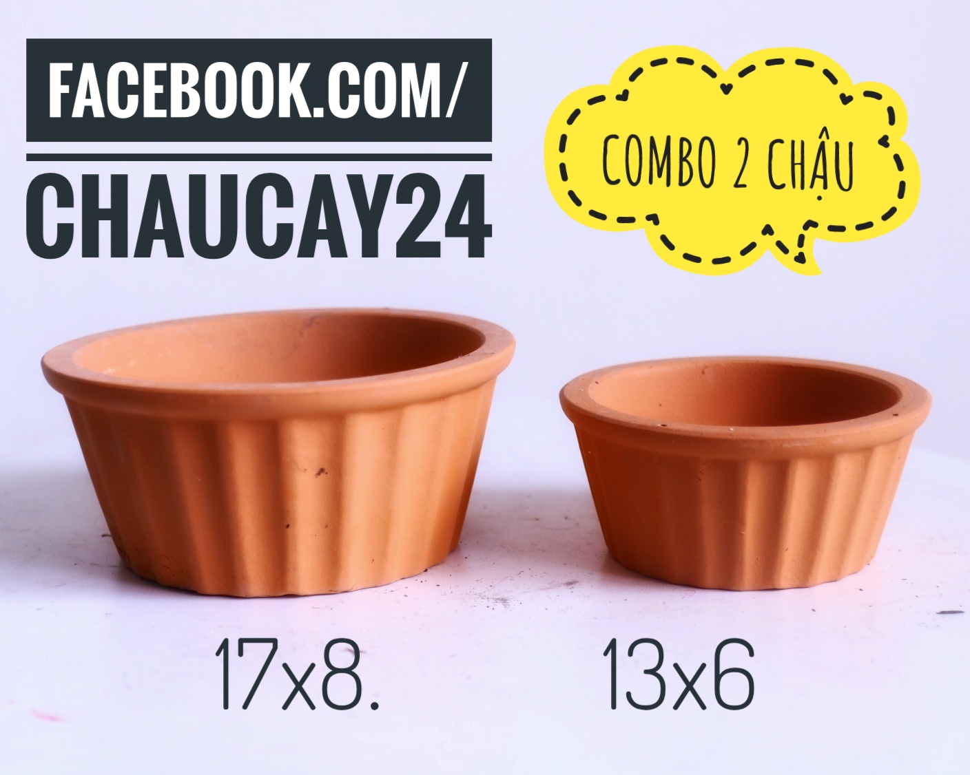 Chậu đất nung chậu cây sen đá, chậu cây để bàn, cây phong thủy