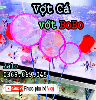 Vợt siêu mịn để vớt bobo , trứng nước , Atermia cho cá betta ăn