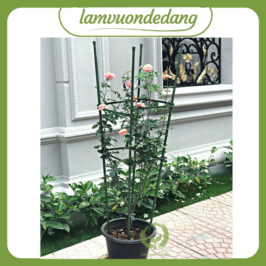 [HCM]KHUNG TRỒNG CÂY TỨ GIÁC - Làm từ ống thép bọc nhựa - Hàng Nhật Bản - Dùng làm giá đỡ cho cây hoa leo hoa hồng leo đứng vững không bị ngã đổ