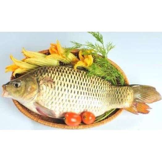 Hạt đậu tằm Úc( đậu răng ngựa- FABA BEAN) 1kg