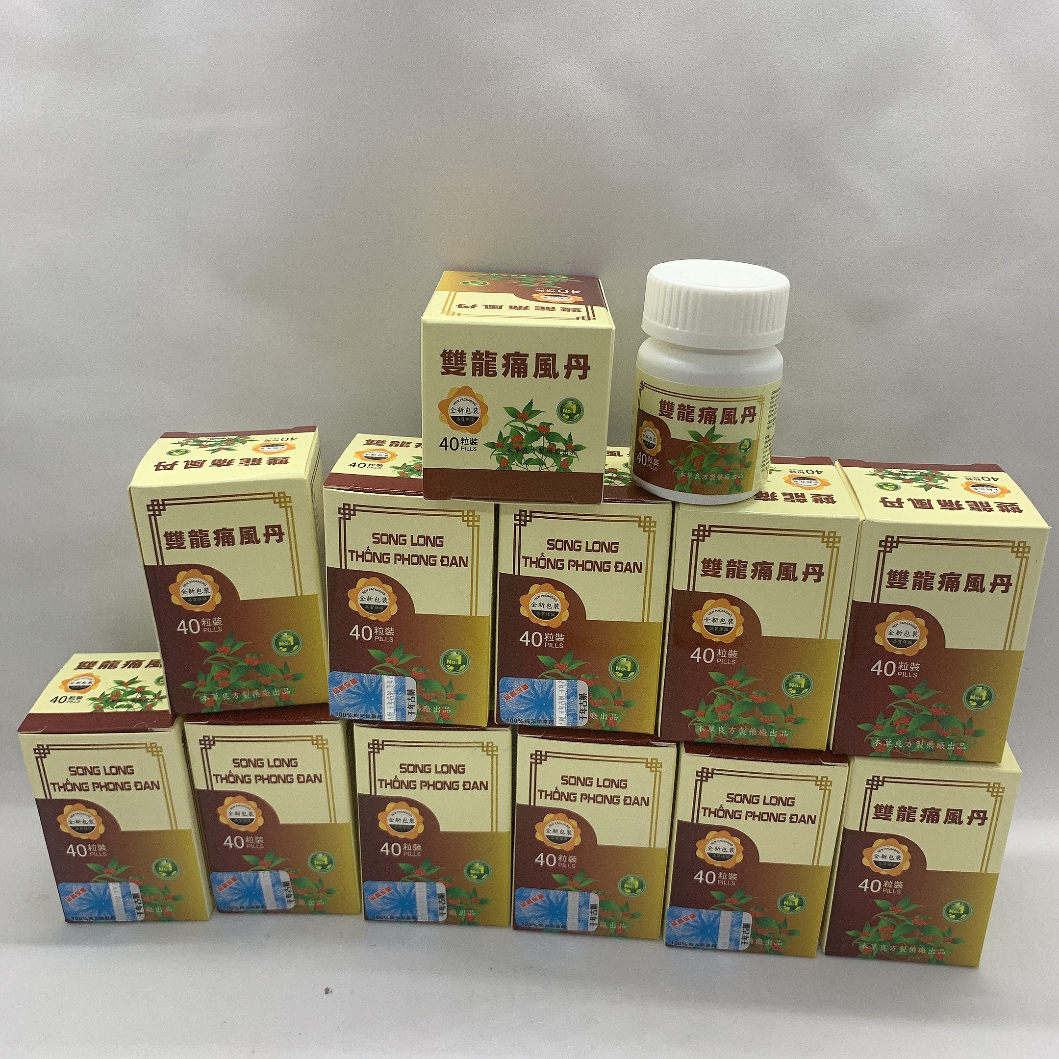 Song long thống phong đan – hỗ trợ xương khớp