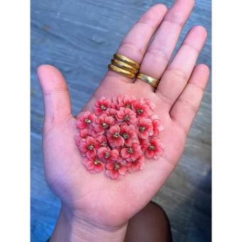 Hoa cúc nhọn- mẫu hoa bột gắn móng tay siêu xinh