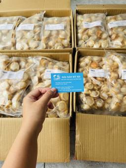 Giá Sỉ 1KG Cồi điệp hấp Nissi 40-60 Cồi/Kg - Hải Sản Kỳ Hà