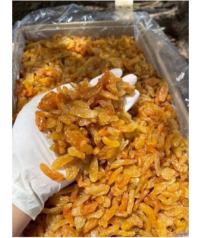 Nho Khô vàng Thượng hạng nhập khẩu