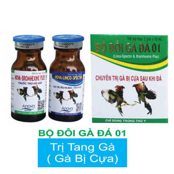 TRỊ TANG GÀ ĐÁ (GÀ BỊ CỰA SAU KHI ĐÁ)