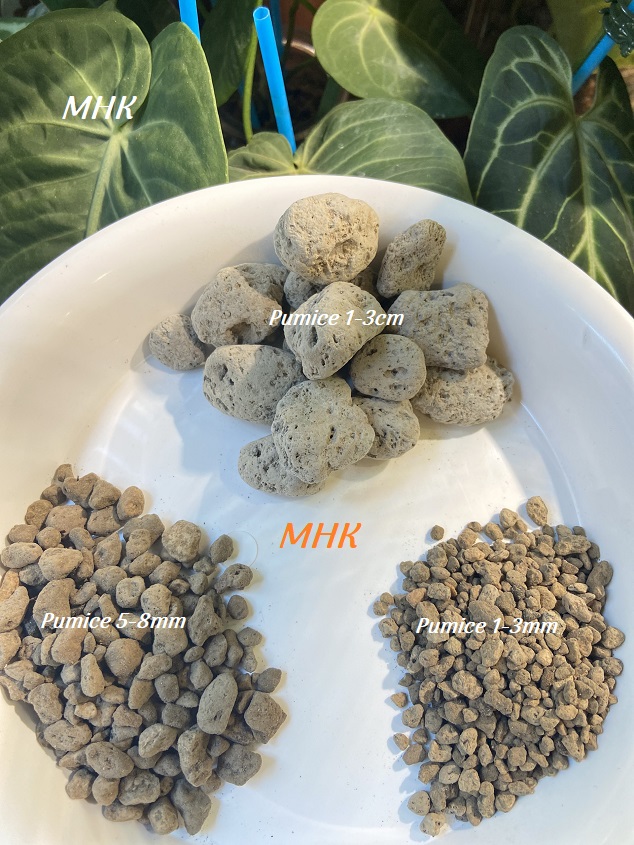 Đá pumice indo - trồng xương rồng , kiểng lá , rau củ