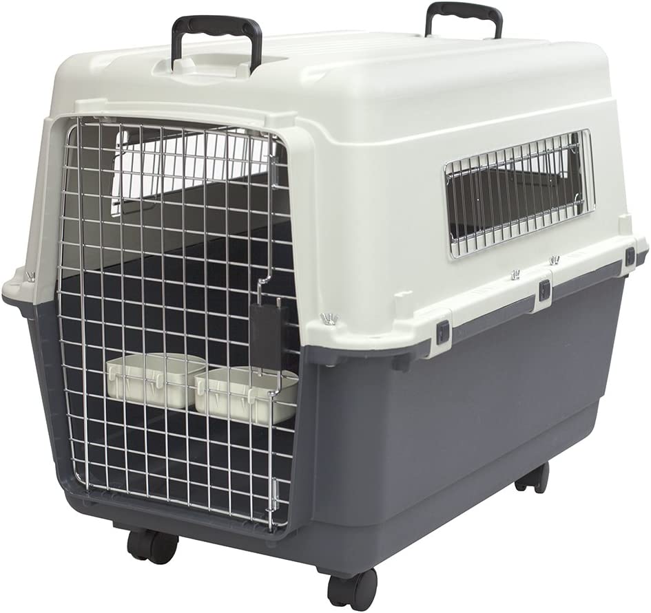 sportpet designs car seat pet crate