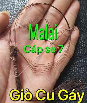 Giò bẩy chim Cu gáy cao cấp. Cáp se 7