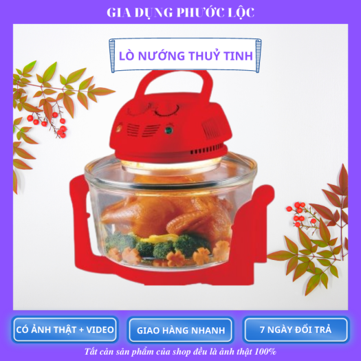 LÒ NƯỚNG ĐỐI LƯU SKYPE