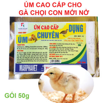 ÚM CAO CẤP Gà chọi con mới nở, Vịt Con,Bồ Câu,Chim cút,Chim cảnh... Thủy Cầm..