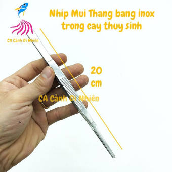 Nhíp mũi THẲNG trồng cây thủy sinh bằng inox SIZE 20 cm