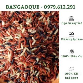 1Kg Gạo Lứt Tam Sắc - Gạo Lứt Đen, Huyết Rồng, Lứt Trắng Hữu Cơ