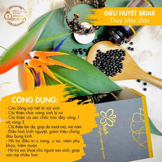 VIÊN ĐIỀU HUYẾT THUỶ MỘC ĐƠN BRIAR Tặng 1 viên đặt Briar pk