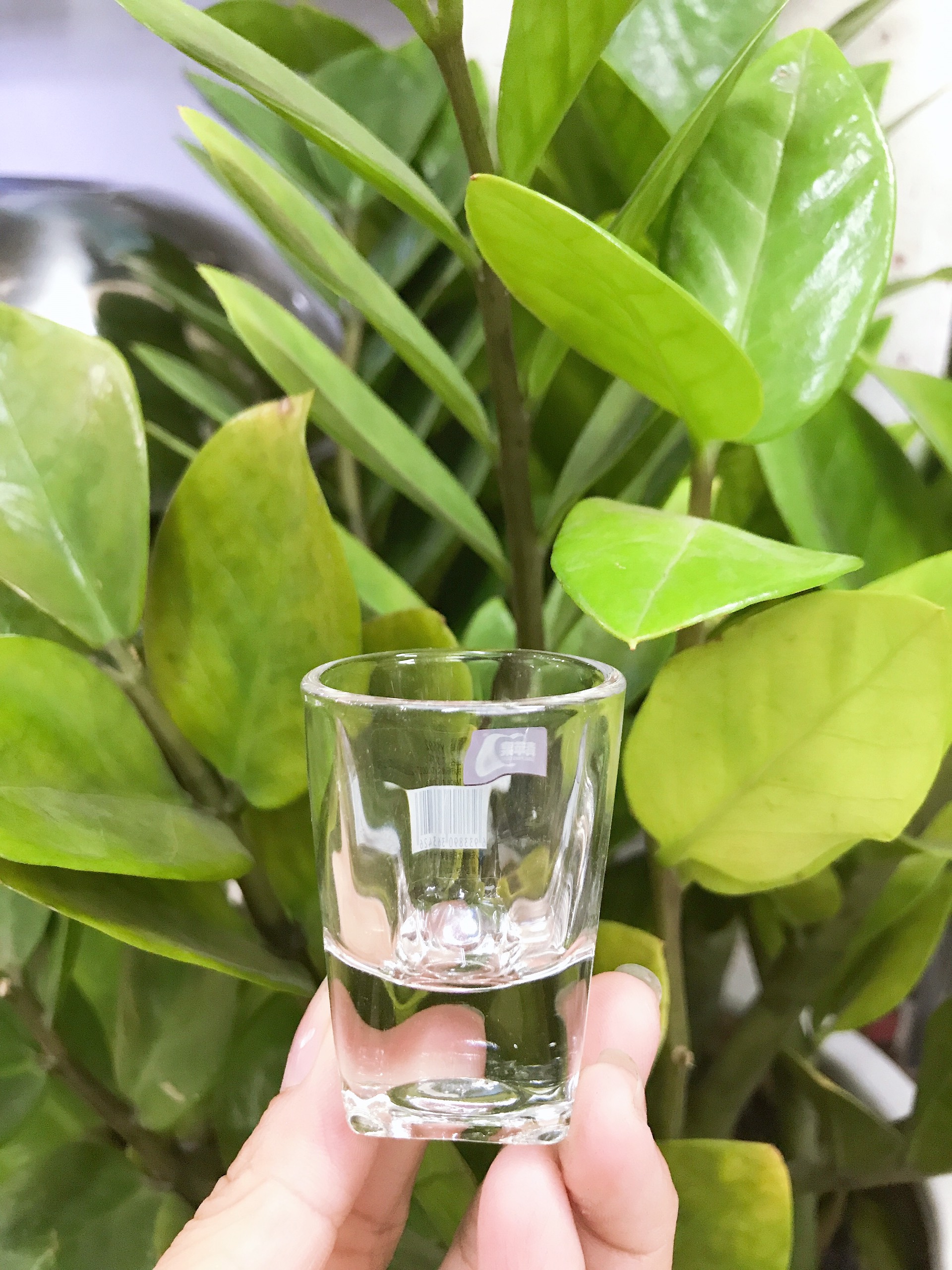 Hộp 12 cái Ly rượu shot 22ml Y5592 DELI