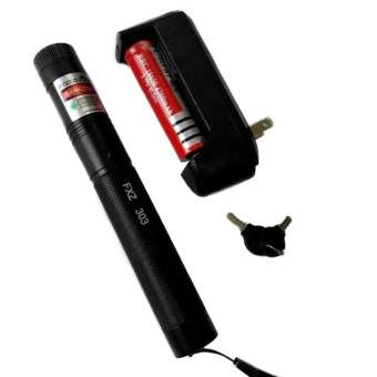 Đèn pin chiếu sáng laser 303