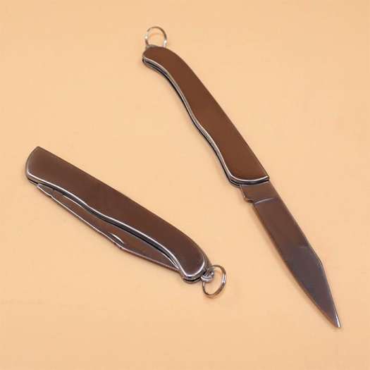 Dao Gọt Hoa Quả Trái Cây Du Lịch Gấp Gọn Mini