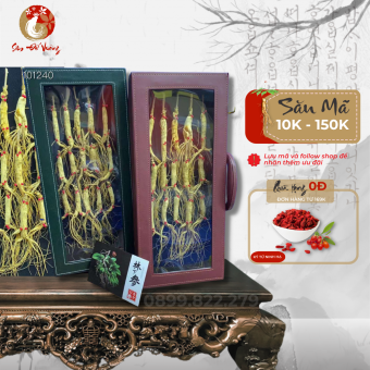 Nhân Sâm Trường Bạch - 15 Củ Bạch Sâm 100% Tự Nhiên 8-10 Năm Tuổi - Phù Hợp Làm Quà Tặng Biếu Dịp Lễ Tết - Sâm Đế Vương