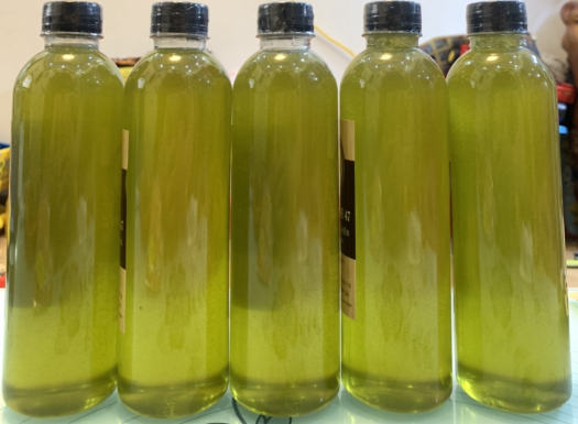 2 LÍT = 4 CHAI 500ml Mật Ong Bạc Hà Đồng Văn - Hà Giang, 100% Nguyên Chất