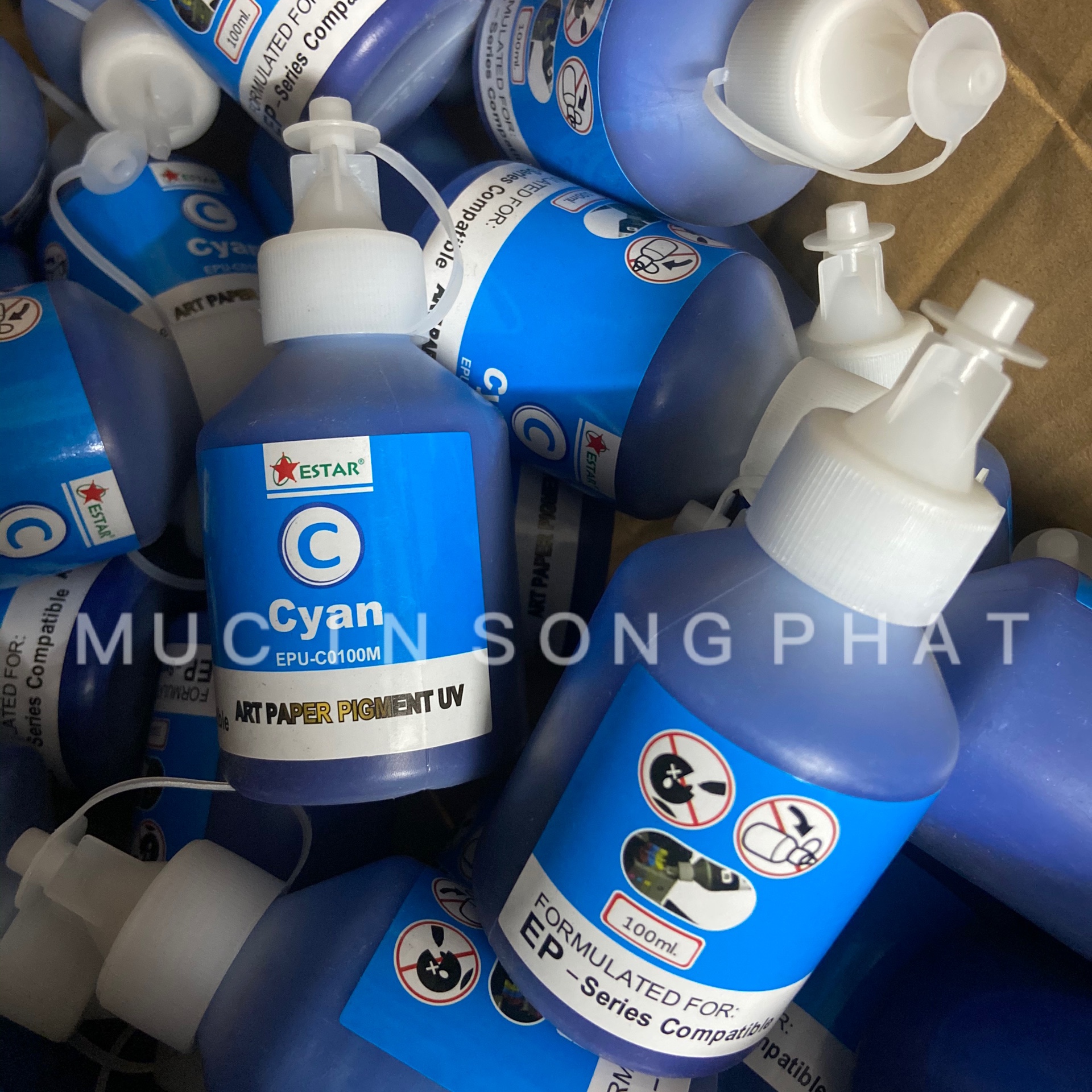 Mực dầu pigment uv epson 100ml