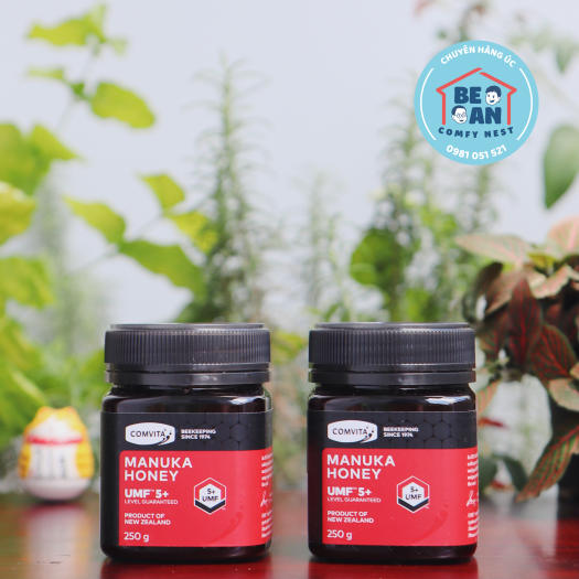 Mật ong Manuka Comvita (UMF 5+ 10+ 15+) - Hàng New Zealand
