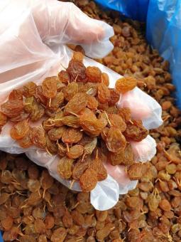 Nho khô rời Sumicat cao cấp Úc hộp 500g [nho mới, ngon]