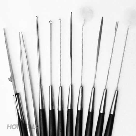 Bộ dụng cụ lấy ráy tai inox chuyên nghiệp 10 món