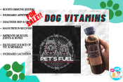 PETS FUEL Moringa & Probiotic Pet Supplement, 350ml - Boosts