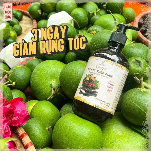 Dầu Gội Bồ Kết Thảo Dược Kích Thích Mọc Tóc Ngăn Rụng Tóc Giảm Ngứa Gàu Thảo Mộc Xưa Organic 500ml Hiệu Quả Sau 7 Ngày Miquala