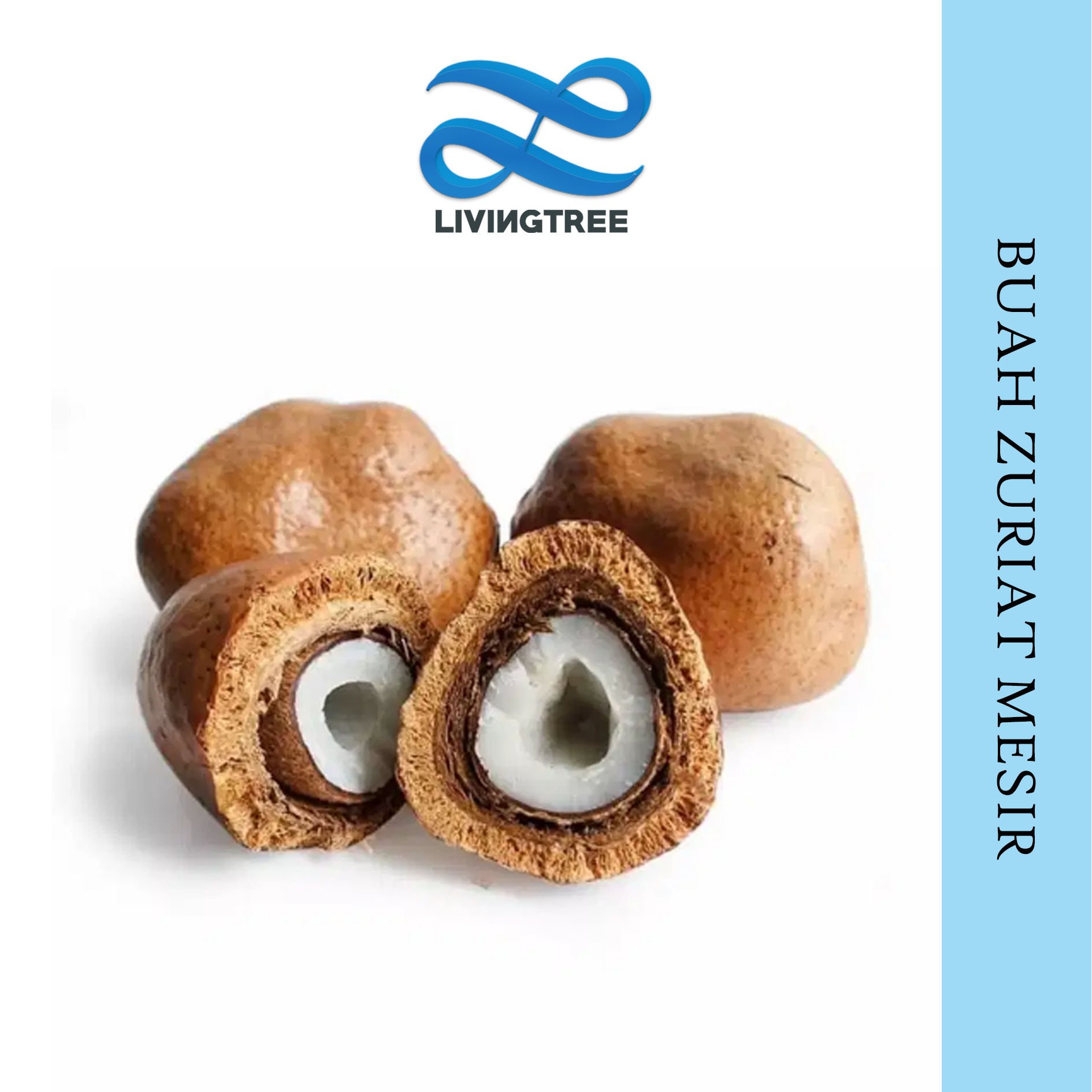 Buah Zuriat Mesir 500 gram | Buah Doum Promil