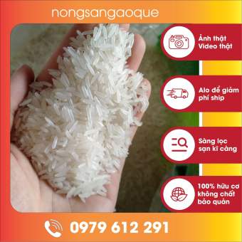 1kg Gạo ST25 - Gạo Thơm ST25 Ngon, Thơm, Dẻo(Chia từ bao to)