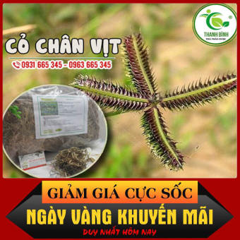 Cỏ Chân Vịt Khô 500G Loại Cao Cấp - Thảo Dược Thanh Bình
