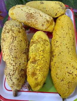 Tổ ong ruồi thiên nhiên