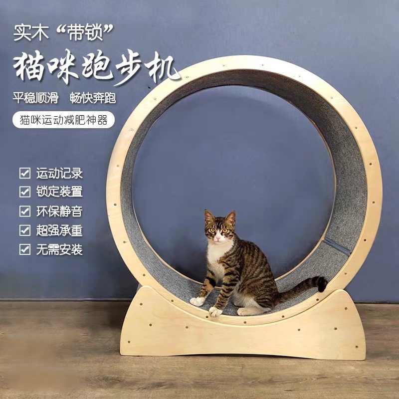 cat treadmill wheel