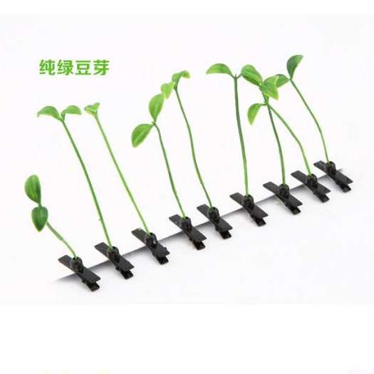 Combo bộ 5 cây kẹp tóc mầm cây cute