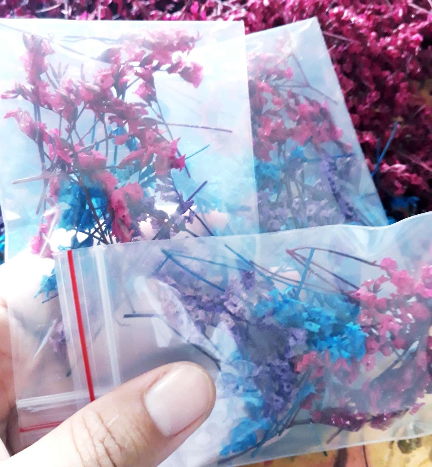 Bộ 3 bịch hoa sao khô mini trang trí móng resin