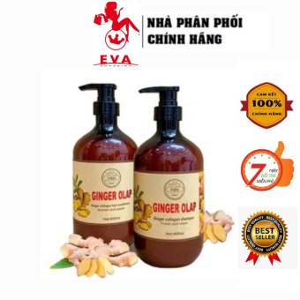 Cặp Dầu Gội Xả Gừng tươi Ginger Olap 800ml x2