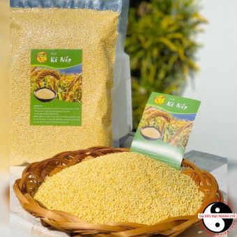 Hạt kê nếp vàng đã tách vỏ loại 1, hạt kê cho bé ăn dặm (500g, 1kg). Hạt kê nếp vàng organic hữu cơ nấu chè, nấu xôi, làm bánh, sữa hạt, nấu cháo cho bé